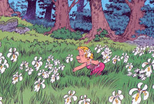 Die weiße Iris