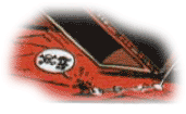 Schimpfende Maus