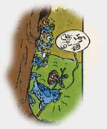 Eulenfamilie