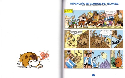 Idefix 8_s 26 27.jpg