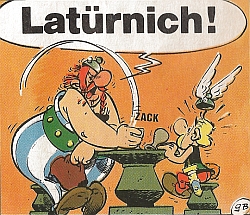 Frage A: Anzahl der Füße auf diesem Bild